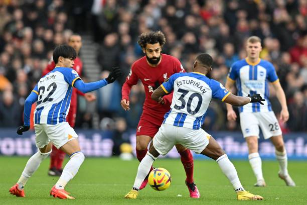 布鲁克斯的 布鲁克斯的