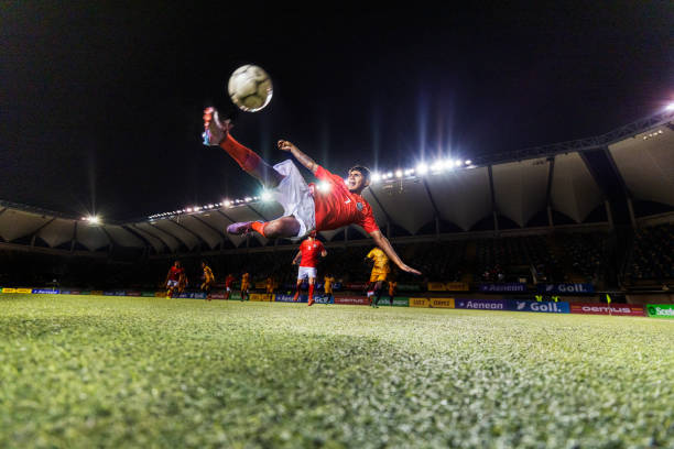 管理团队 管理团队