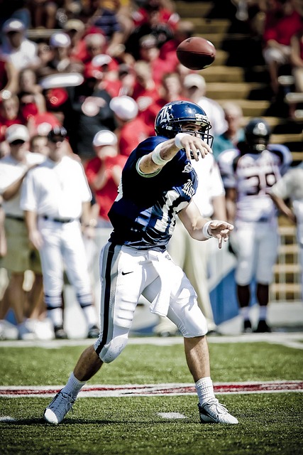 对大杜埃的 对大杜埃的